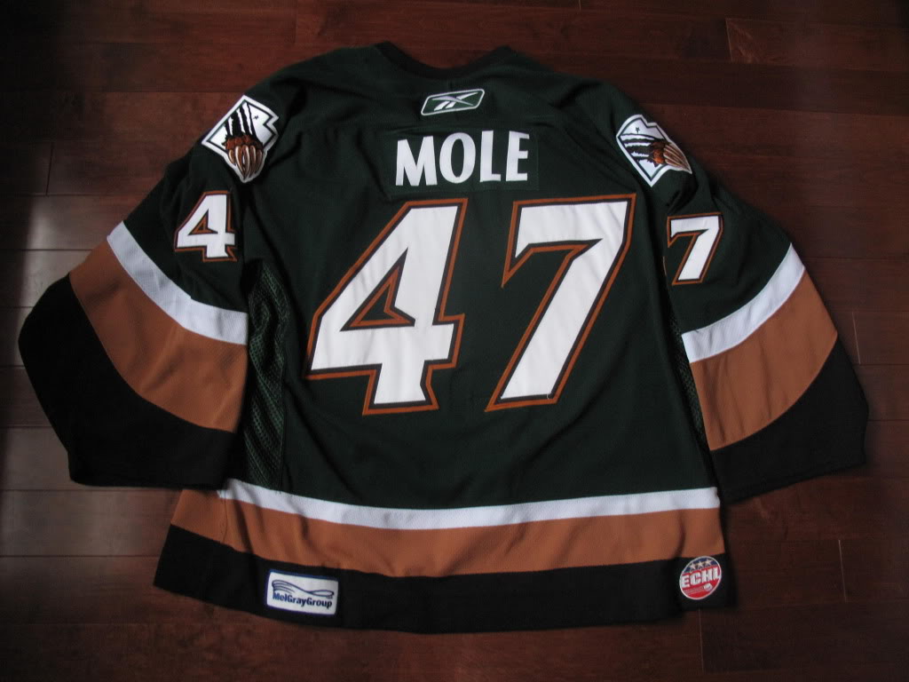 Mike Mole ECHL Utah Grizzlies game-used jersey